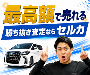 勝ち抜き査定のセルカ